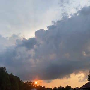 Meet your Posher, Ava